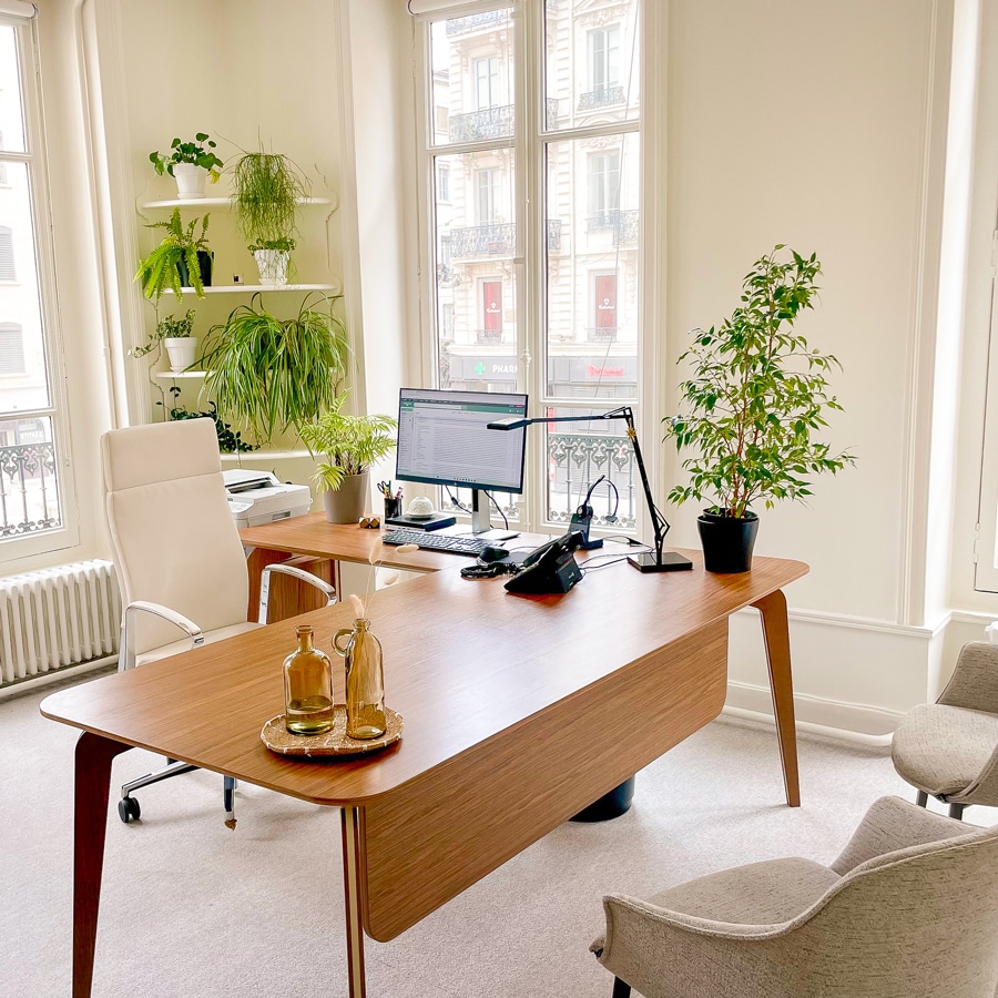 Jac Avocats à Lyon 01 JAC, cabinet d'avocats au coeur de Lyon